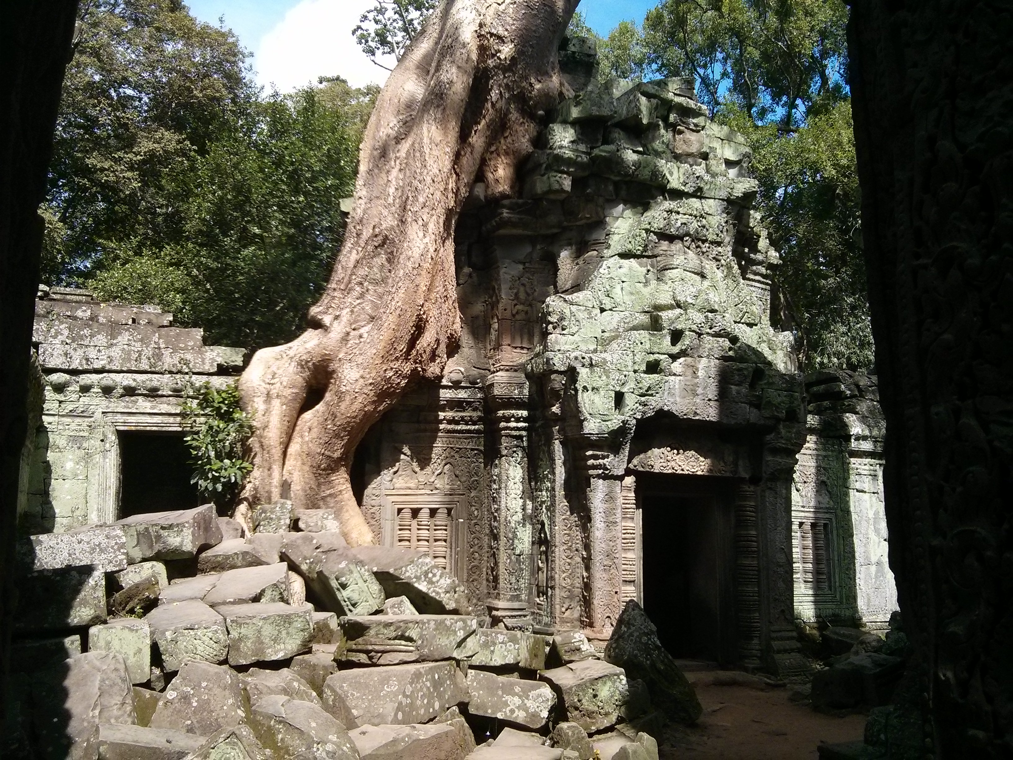 Temple de la jungle